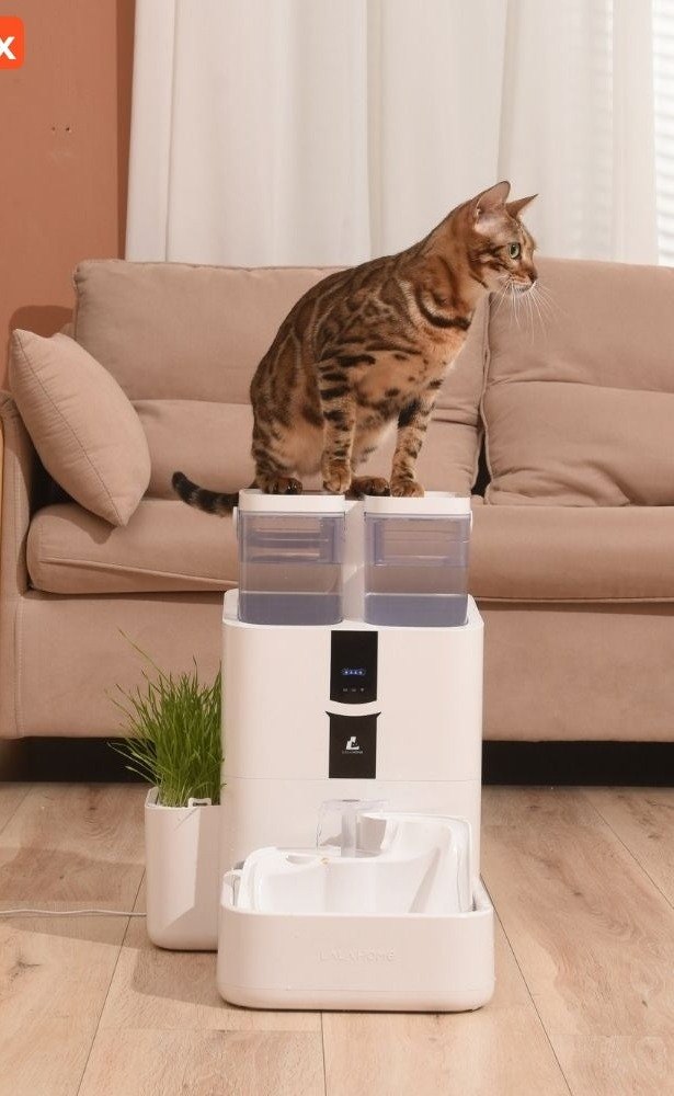 Fontaine intelligente 10 L — filtration 5 étapes et UV-C