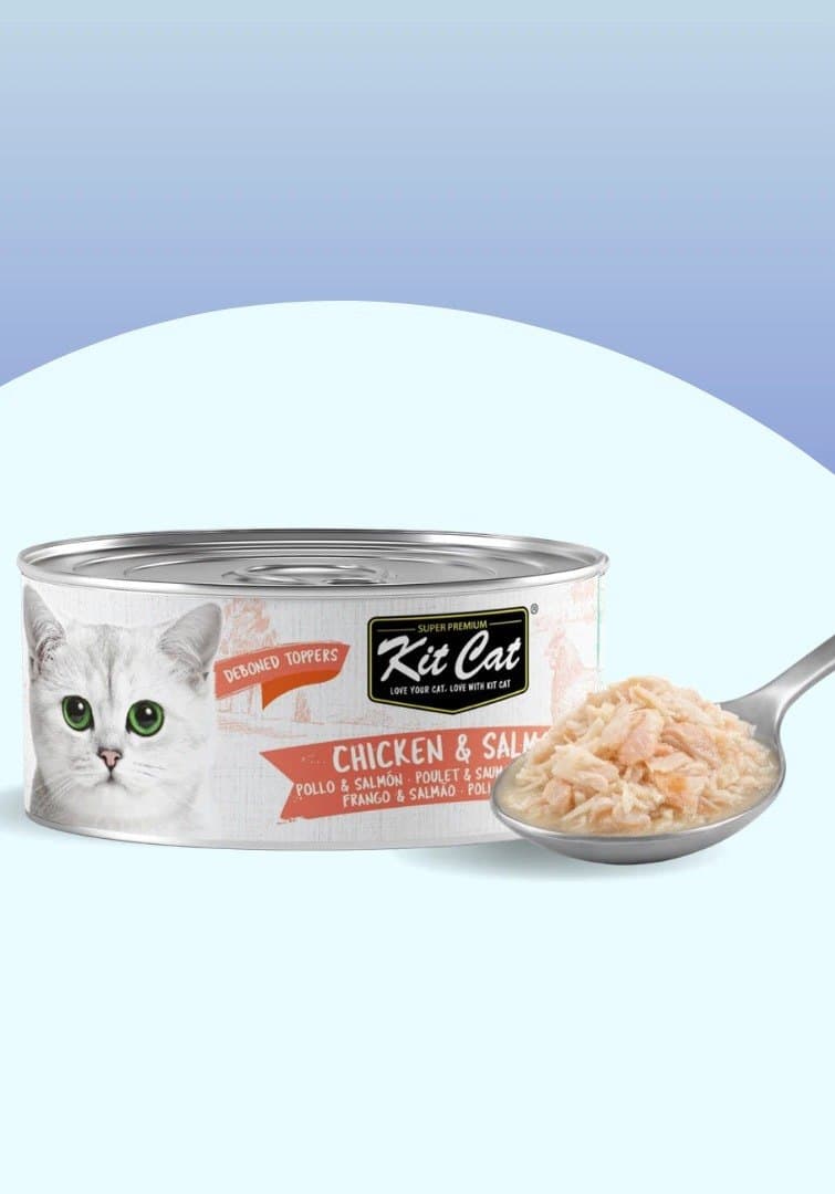 Gelée pour Chat Poulet & Saumon 80g — Kit Cat