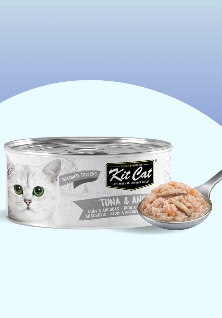 Gelée pour chat Thon & Anchois 80g — Kit Cat
