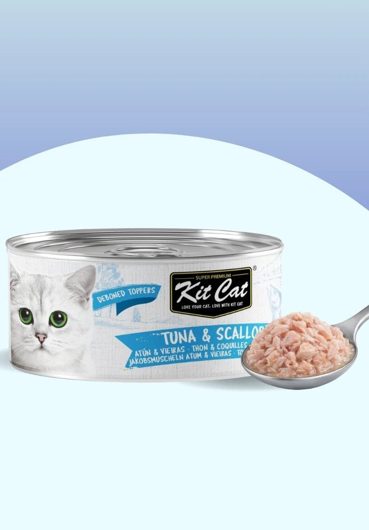 Gelée pour chat Thon & Coquille Saint-Jacques 80g — Kit Cat