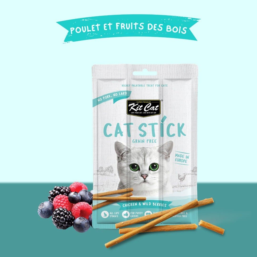 Kit Cat Cat Stick - Poulet & Baies Sauvages 15g