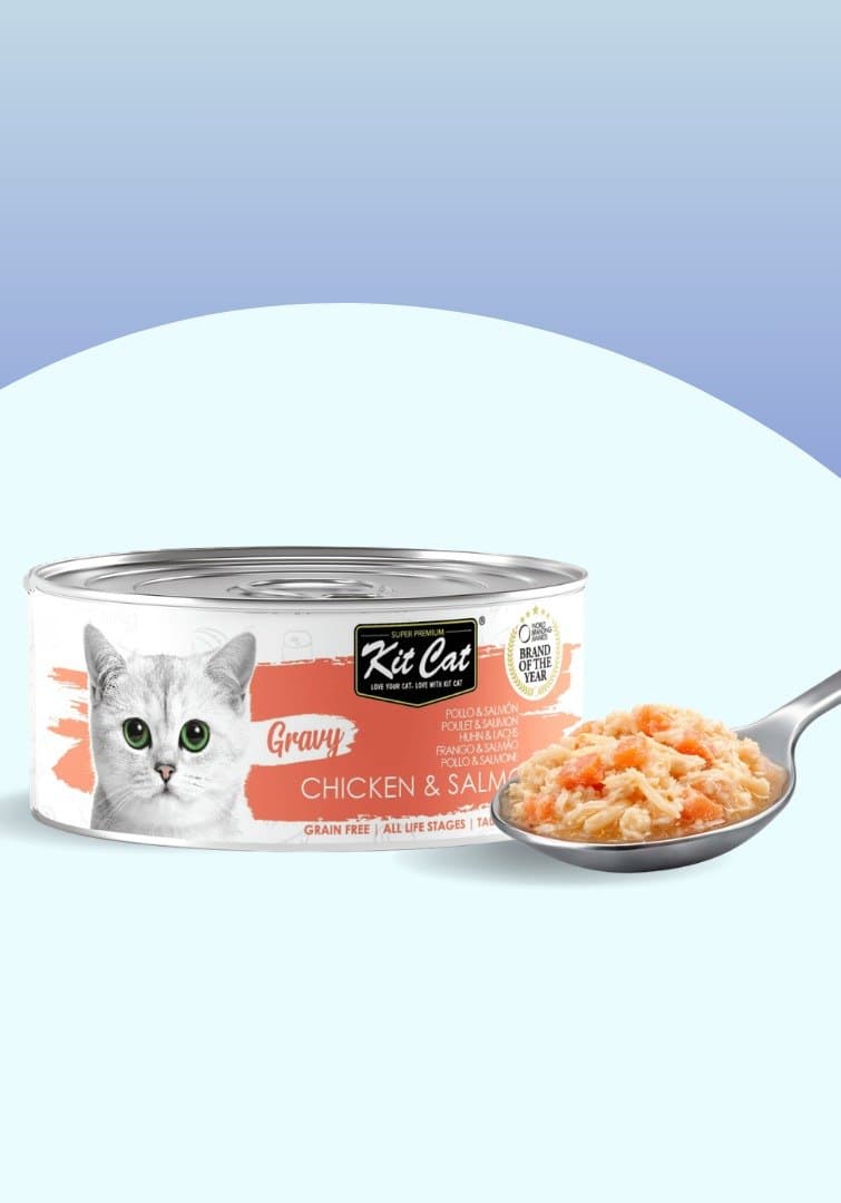 Kit Cat Gravy - Poulet & Saumon 70g