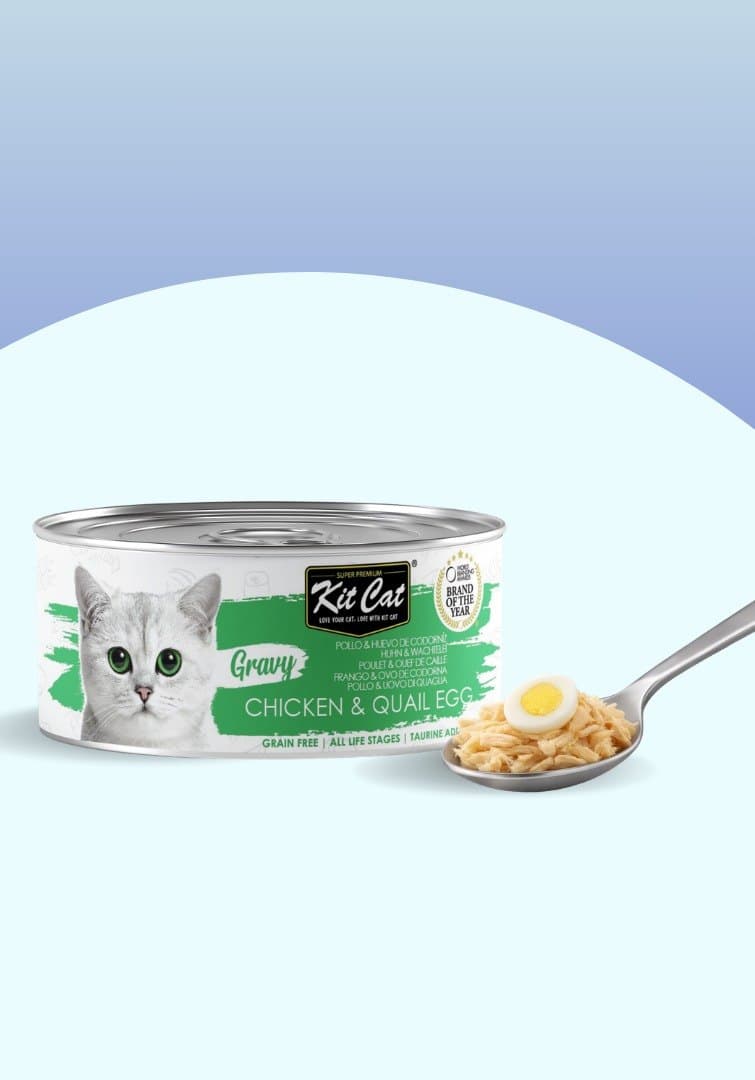 Kit Cat Gravy - Poulet & Œuf de Caille 70g
