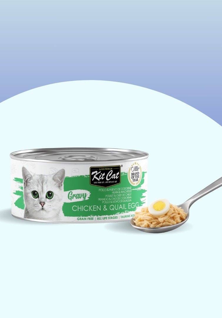Kit Cat Gravy - Poulet & Œuf de Caille 70g