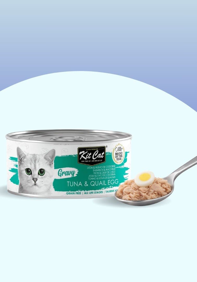 Kit Cat Gravy - Thon et œuf de Caille 70g