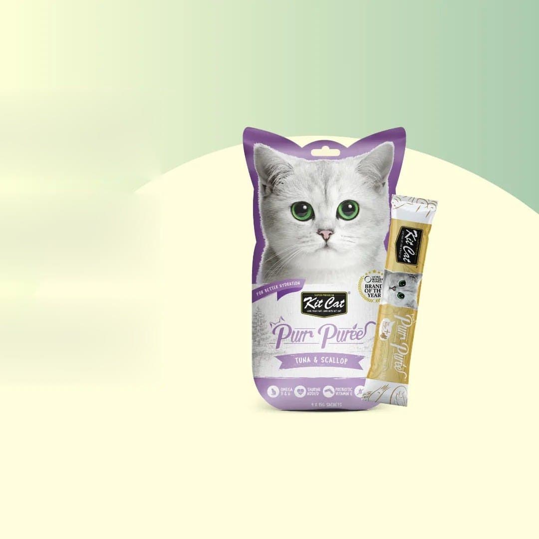 Kit Cat PurrPuree - Thon et Pétoncles 60g