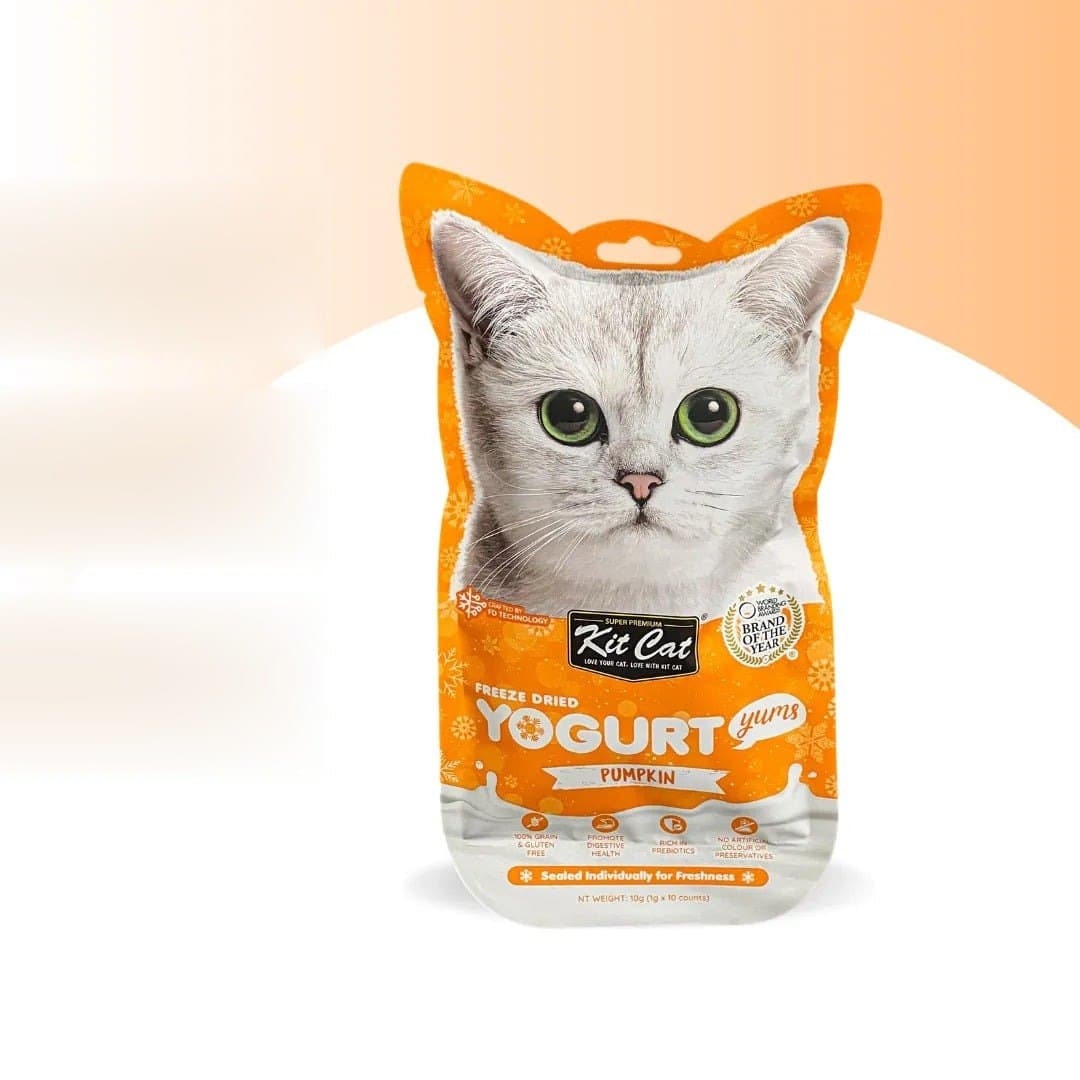 Kit Cat YogurtYums - Citrouille