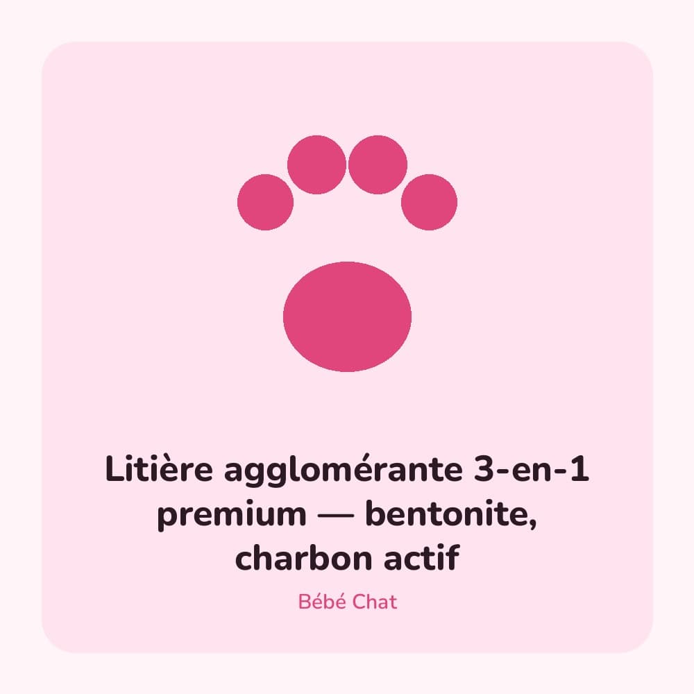 Litière agglomérante 3-en-1 premium — bentonite, charbon actif