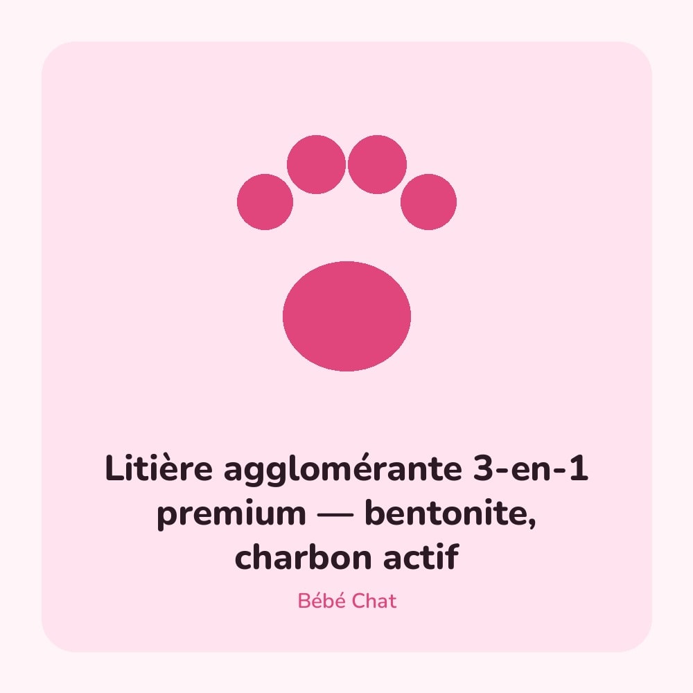 Litière agglomérante 3-en-1 premium — bentonite, charbon actif
